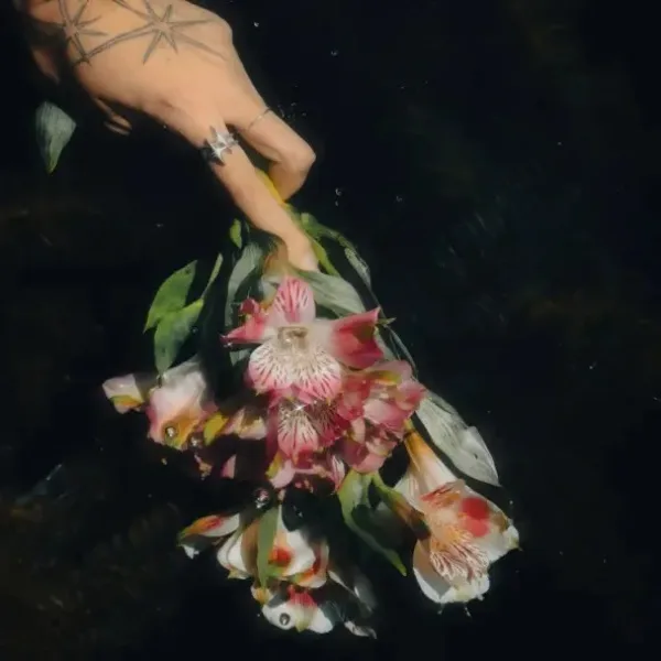 Portada de Encarta 98 - .𖥔 ݁ ˖lucero˖ ݁ 𖥔.