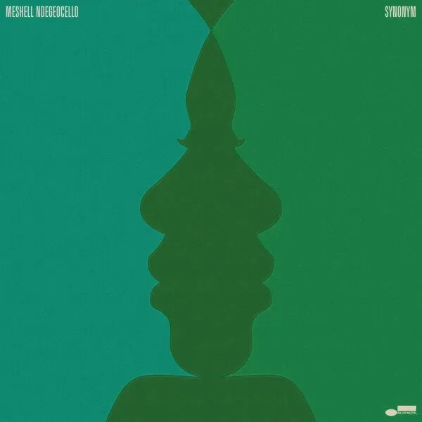 Portada de Meshell Ndegeocello - Synonym